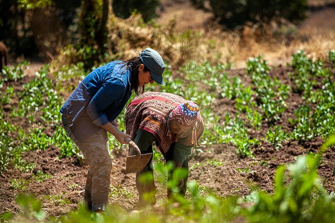 Farm & Food Lamay (Private Departure) - Key Points