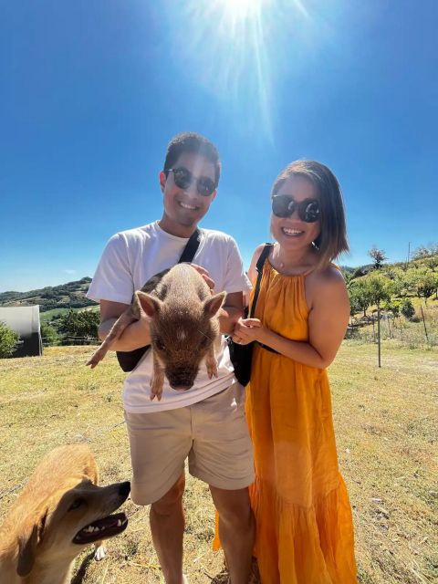 Farm Stay Experience & Dozza - Private Day Tour From Bologna - Key Points