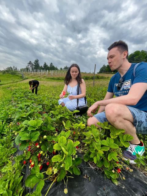 Farm Stay Experience & Dozza - Private Day Tour From Bologna - Drive to Imola and Coffee Stop