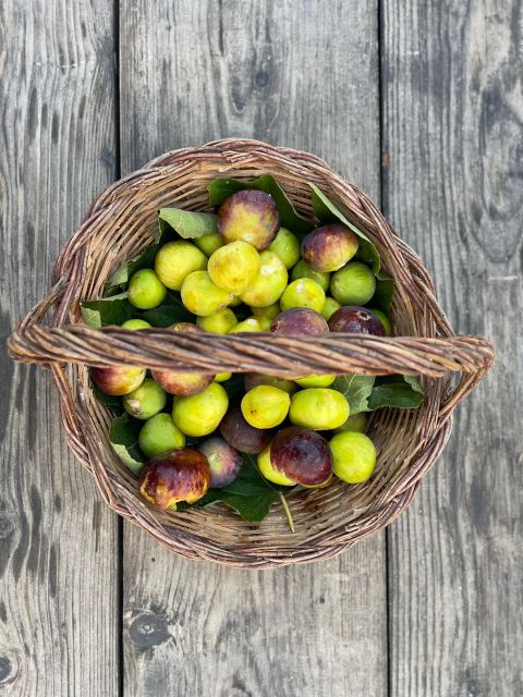 Farm to Fork in Sicily Southeast - Cooking Class in a Farm - Class Details