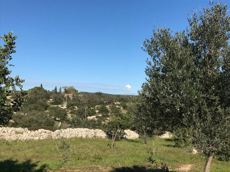 Farm to Fork in Sicily Southeast - Cooking Class in a Farm - Meeting Point and Directions