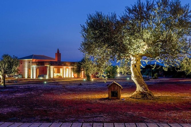 Farm-to-Table Cooking Class in an Organic Farm, Laconia, Greece! - Unlock Gastronomic Secrets of Greece
