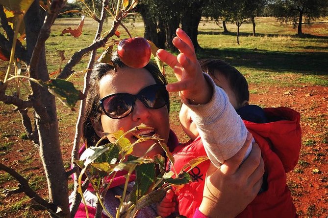 Farm-to-Table Cooking Class in an Organic Farm, Laconia, Greece! - Questions About Staying Here