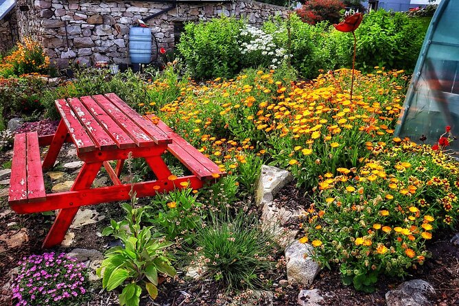 Farm to Table Experience and Irish Cooking Class in Galway - Farm Tour and Seaweed Fertilizer