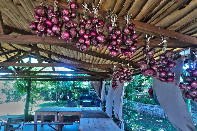 Farm-to-table Food Experience - Meeting and Pickup