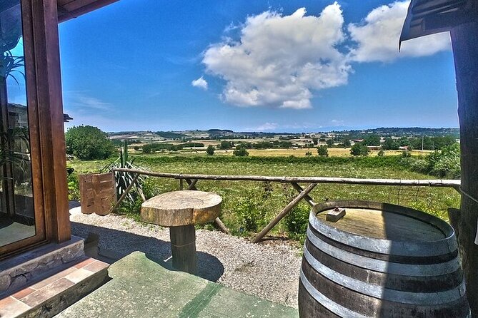 Farm-to-table Food Experience - Culinary Adventure