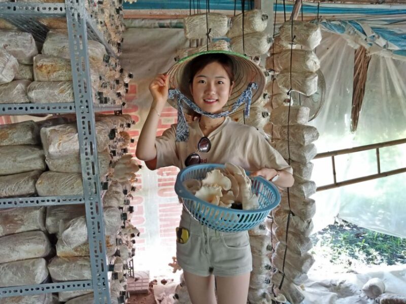 Farm-to-Table Full-Day Cooking Class & Cu Chi Tunnels - Key Points