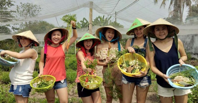 Farm-to-Table Full-Day Cooking Class & Cu Chi Tunnels - Herb, Spice, and Mushroom Cultivation