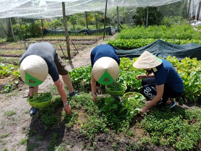 Farm-to-Table Full-Day Cooking Class & Cu Chi Tunnels - Practical Information and Inclusions
