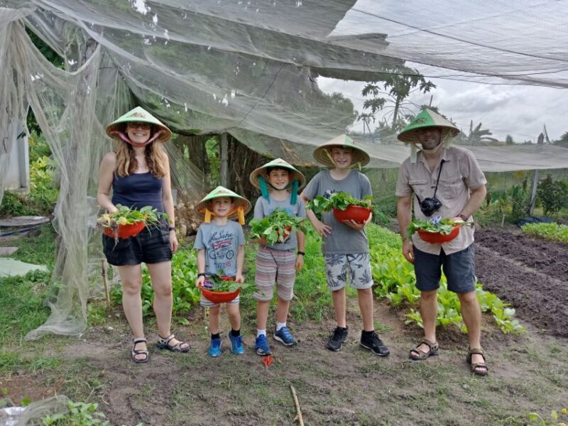 Farm-To-Table Healthy Cooking Class: Half-Day Tour - Understanding Rice Cultivation