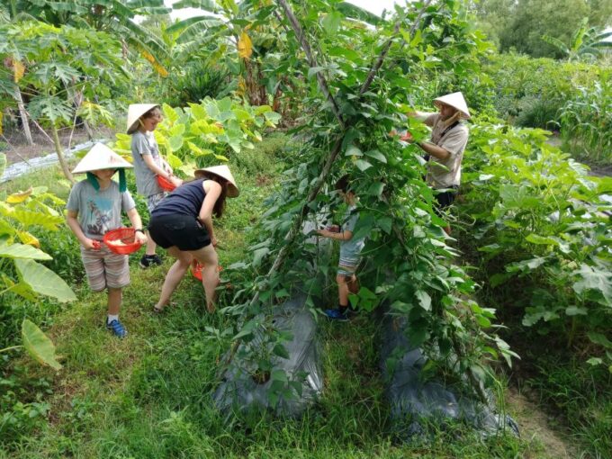 Farm-To-Table Healthy Cooking Class: Half-Day Tour - Important Additional Information
