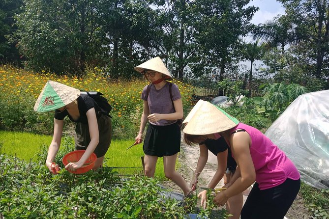 Farm-To-Table Healthy Cooking Class in Ho Chi Minh City - Main Course Dish Options