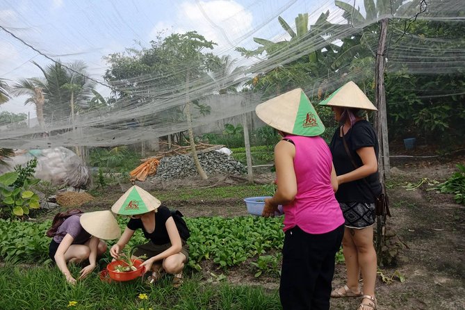 Farm-To-Table Healthy Cooking Class in Ho Chi Minh City - Additional Details