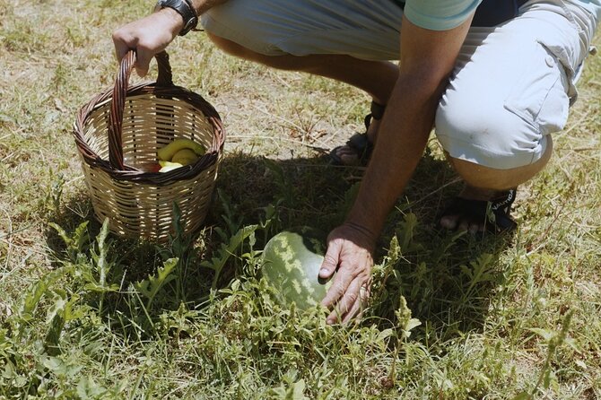 Farm to Table - Local Cooking Experience - Confirmation and Cancellation