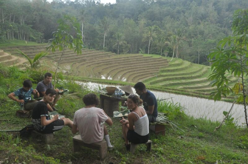 Farm to Table, Walking Tour and Farming Experiences - Itinerary Highlights