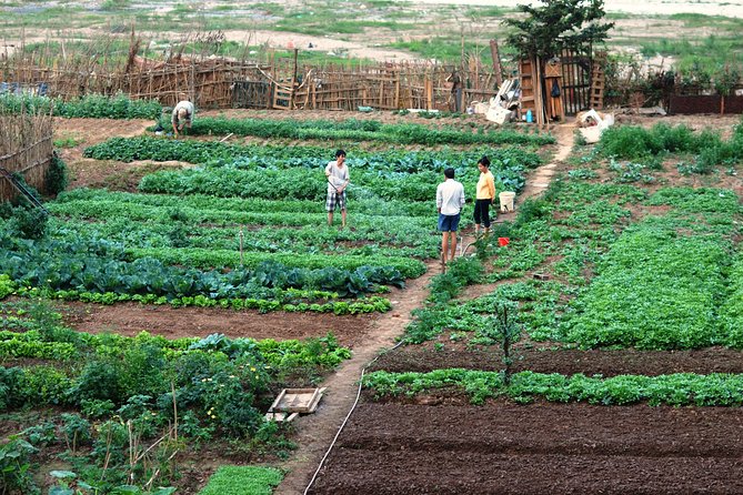 FARM TOUR and HOME COOKING WITH LOCAL FAMILY in HANOI 3-5 Hours - Meeting and Pickup