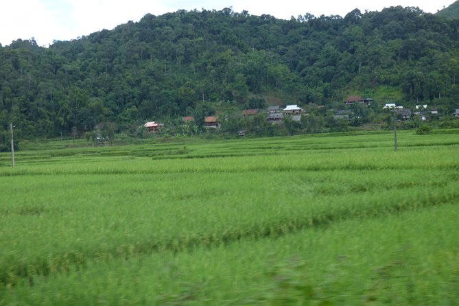 FARM TOUR and HOME COOKING WITH LOCAL FAMILY in HANOI 3-5 Hours - Tour Details