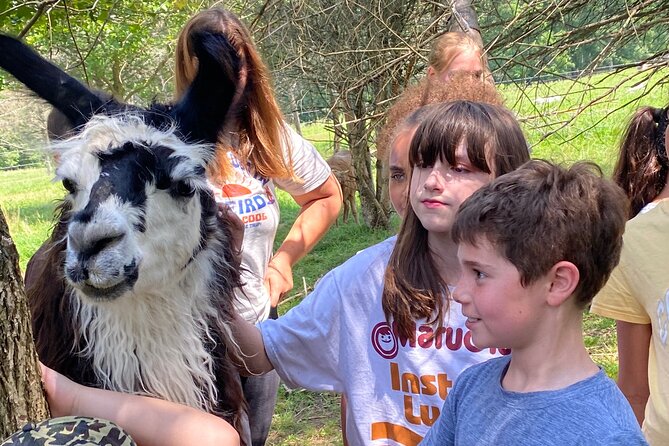 Farm Tour at Clover Brooke Llama/Alpaca/Goat Farm - A Passionate and Knowledgeable Guide