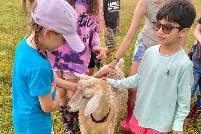 Farm Tour at Clover Brooke Llama/Alpaca/Goat Farm - Interacting With Friendly Farm Animals