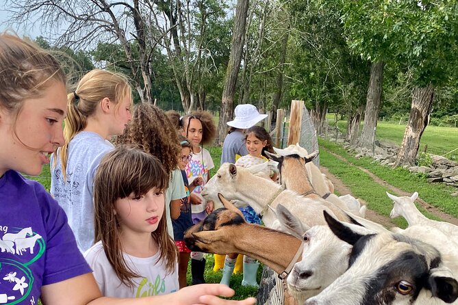 Farm Tour at Clover Brooke Llama/Alpaca/Goat Farm - Exploring the Scenic Catskills Region