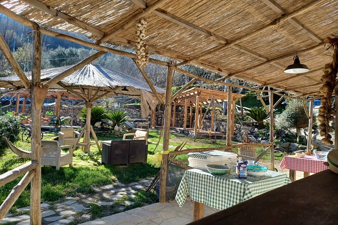Farm Tour With Cheese & Pizza Experience, Wine & Limoncello Tasting - Meeting Point and Pickup Details