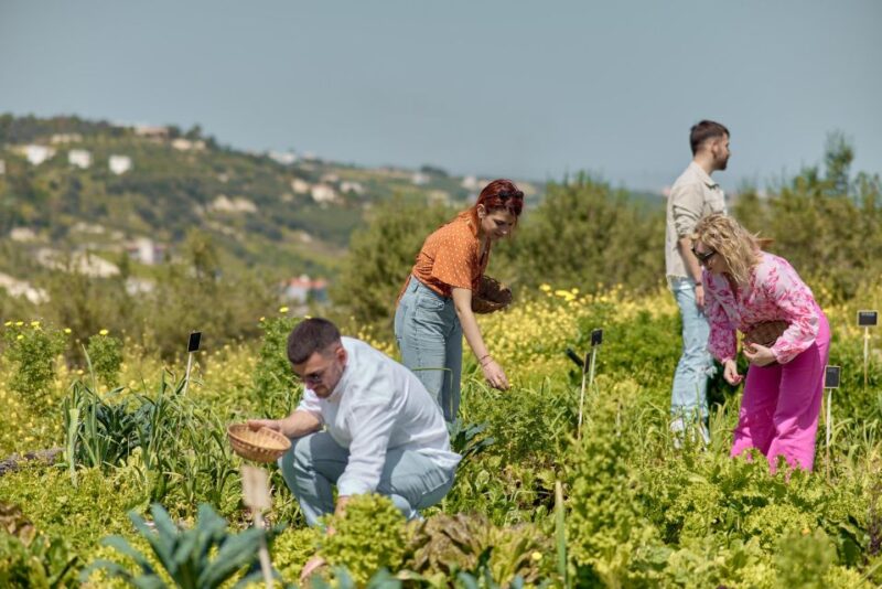 Farm Vegetables Tour & Salad Making - Commitment to Sustainability