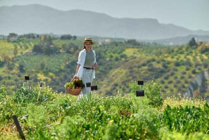 Farm Vegetables Tour & Salad Making - Farm and Sustainability Practices
