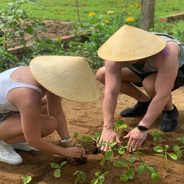 Farming - Local Market - Cooking Class In Tra Que Vegetable - Itinerary Highlights