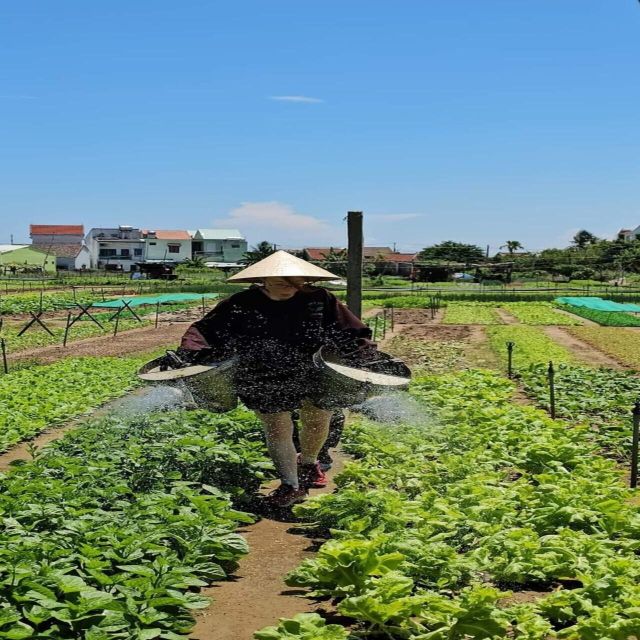 Farming - Local Market - Cooking Class In Tra Que Vegetable - Inclusions and Exclusions