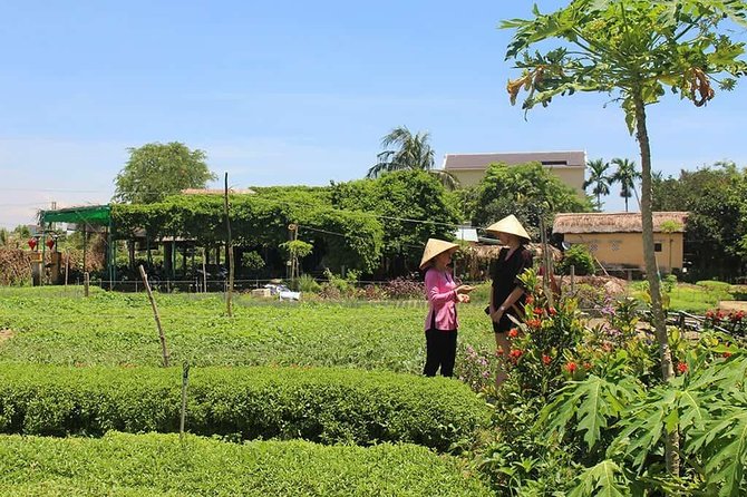 Farming With the Local Famers - Glimpse of Vibrant Vegetable Gardens
