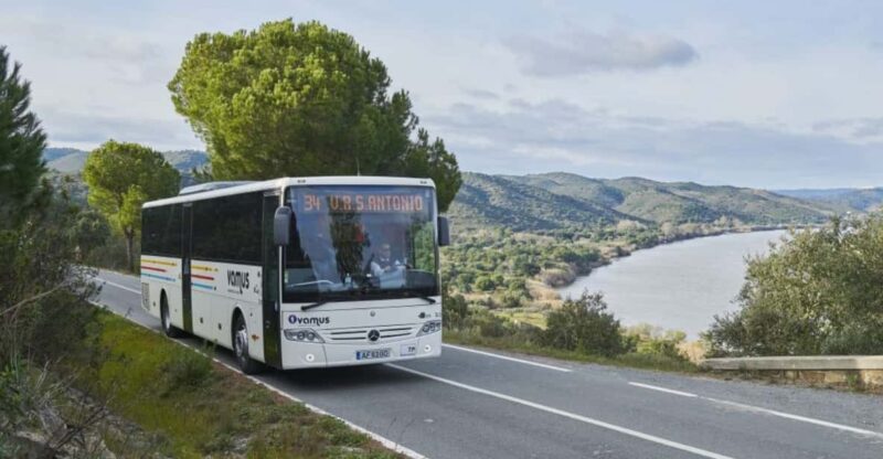 Faro Airport: Comfortable Bus Transfer To/From Portimão - Experience and Comfort
