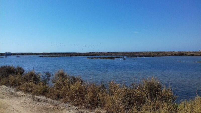 Faro Bike Tour Through the Beautiful Ria Formosa - Whats Included