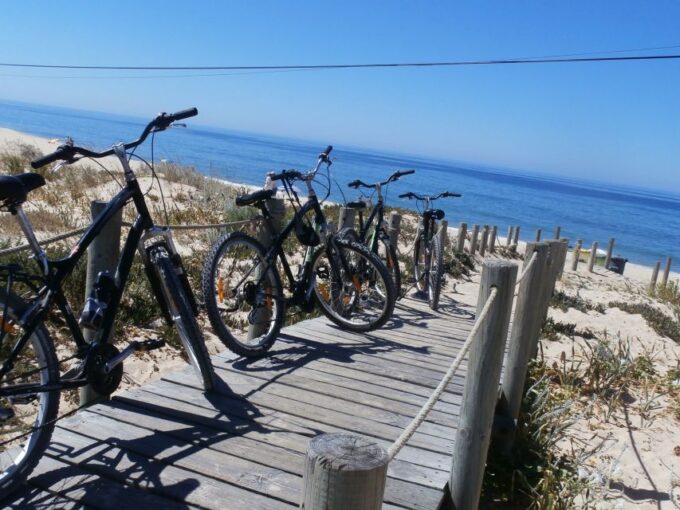 Faro Bike Tour Through the Beautiful Ria Formosa - Exploring Ria Formosas Biodiversity