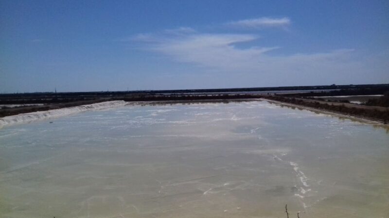 Faro Bike Tour Through the Beautiful Ria Formosa - Experience Highlights
