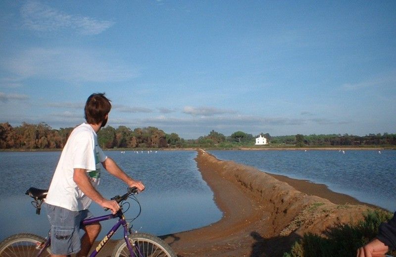 Faro Bike Tour Through the Beautiful Ria Formosa - Whats Included
