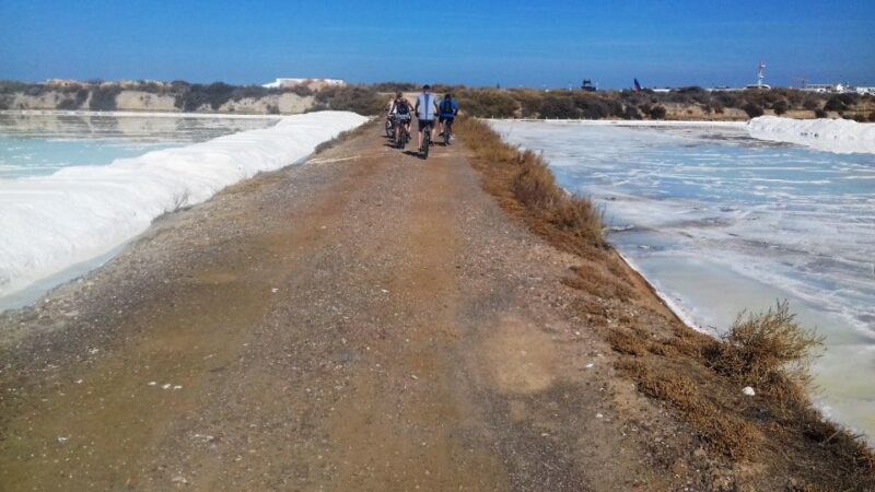 Faro Bike Tour Through the Beautiful Ria Formosa - Meeting Point and Important Information