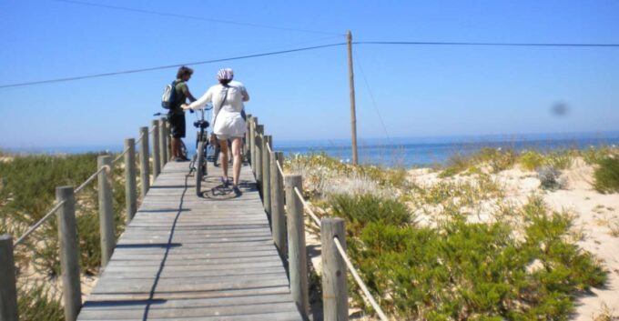 Faro Bike Tour Through the Beautiful Ria Formosa - Exploring Ria Formosas Biodiversity