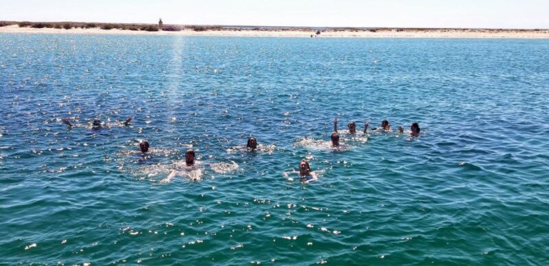 Faro: Come and Discover Ria Formosa With Us in Our Catamaran - Itinerary and Experience