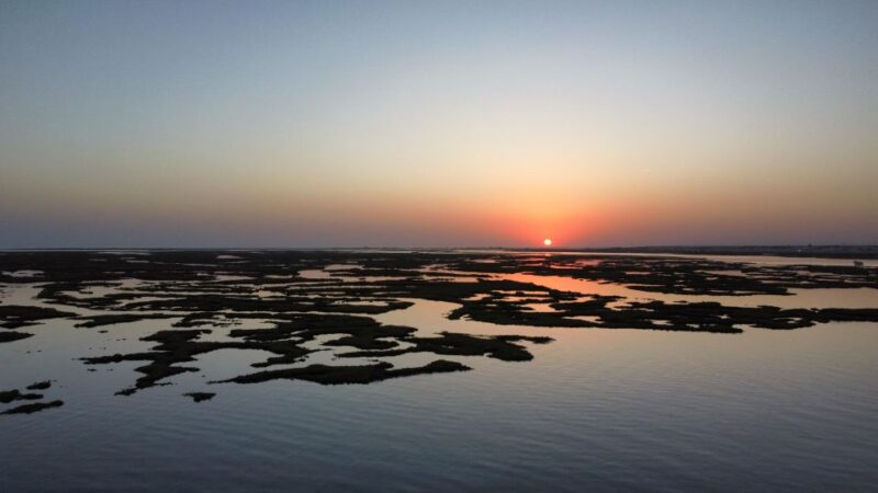 Faro: Come and Discover Ria Formosa With Us in Our Catamaran - Included and Excluded