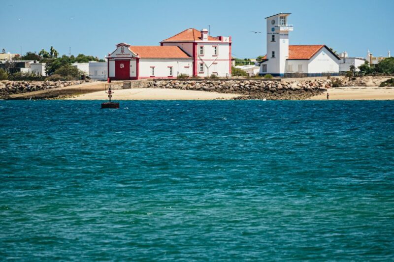 Faro: Deserta Island and Farol Island Catamaran Boat Trip - Key Points