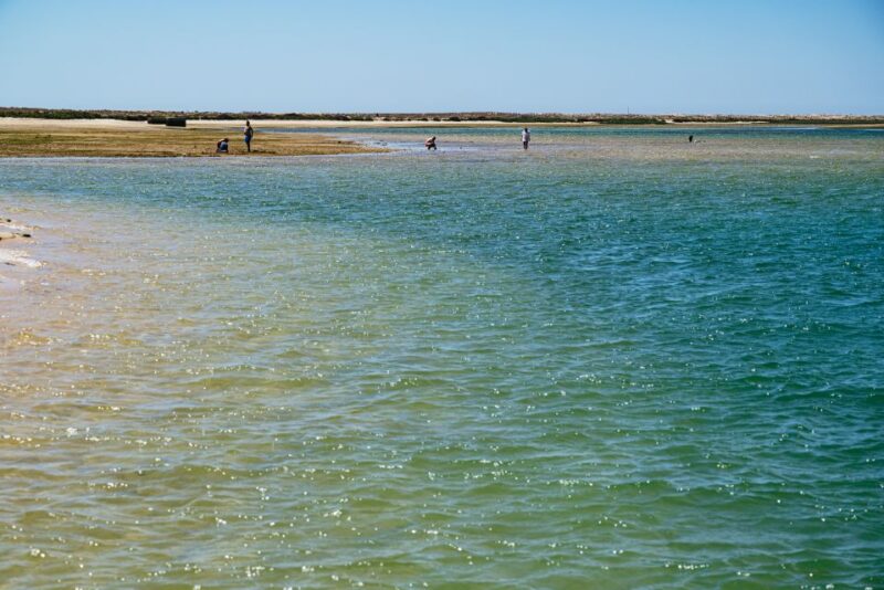 Faro: Deserta Island and Farol Island Catamaran Boat Trip - Recommendations and Restrictions