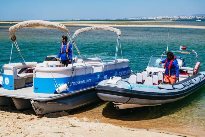 Faro: Deserta Island and Farol Island Catamaran Boat Trip - Wildlife Observation and Fishing