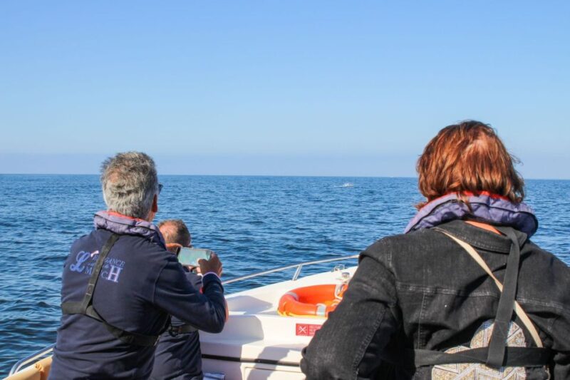 Faro: Dolphin and Marine Life Watching Boat Tour - Inclusions and Exclusions