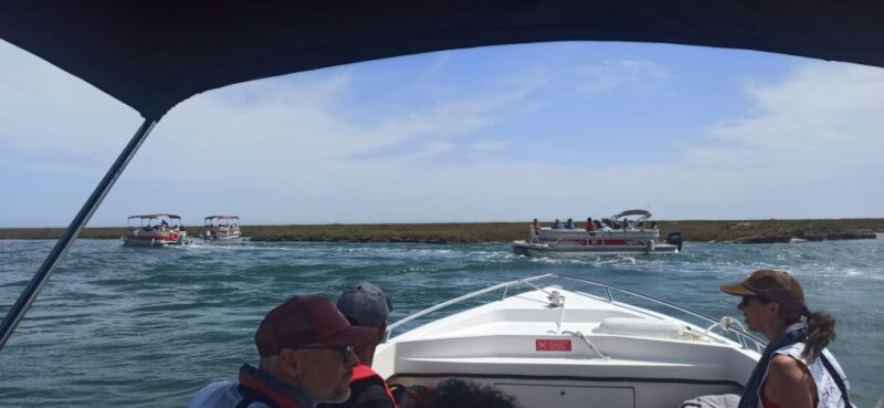 Faro: Dolphin and Marine Life Watching Boat Tour - Customer Reviews