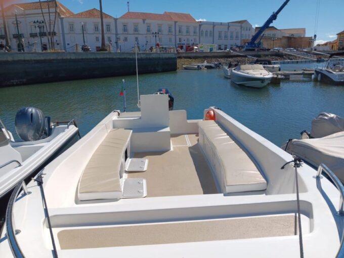 Faro: Dolphin and Marine Life Watching Boat Tour - Guided Tour Highlights