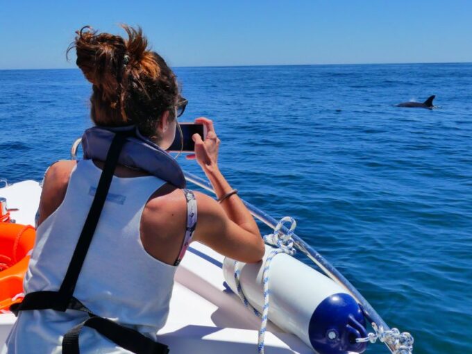 Faro: Dolphin and Wildlife Watching in the Atlantic Ocean - Customer Reviews and Ratings