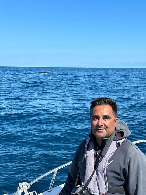 Faro - Dolphin Watching Boat Tour - Inclusions and Exclusions