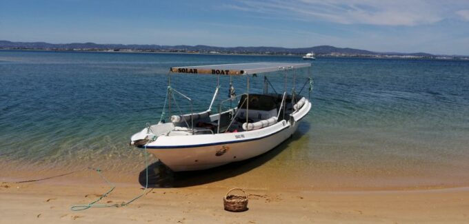 Faro: Eco-Friendly Ria Formosa Bird Watching in Solar Boat - Exploring Ria Formosa