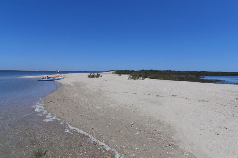 Faro: Kayak Hire in Ria Formosa Natural Park - Participant Requirements