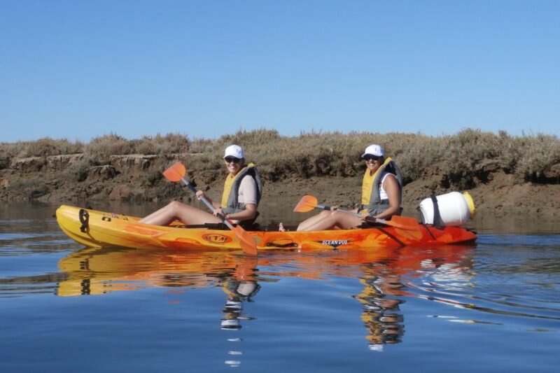 Faro: Kayak Hire in Ria Formosa Natural Park - Pricing and Options